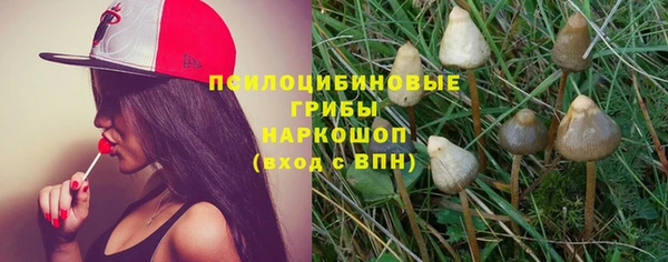 Альфа ПВП Верея