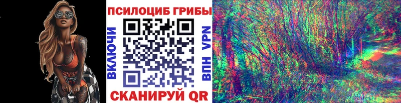 Псилоцибиновые грибы MAGIC MUSHROOMS  Великий Устюг 