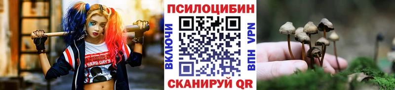Галлюциногенные грибы Magic Shrooms Великий Устюг