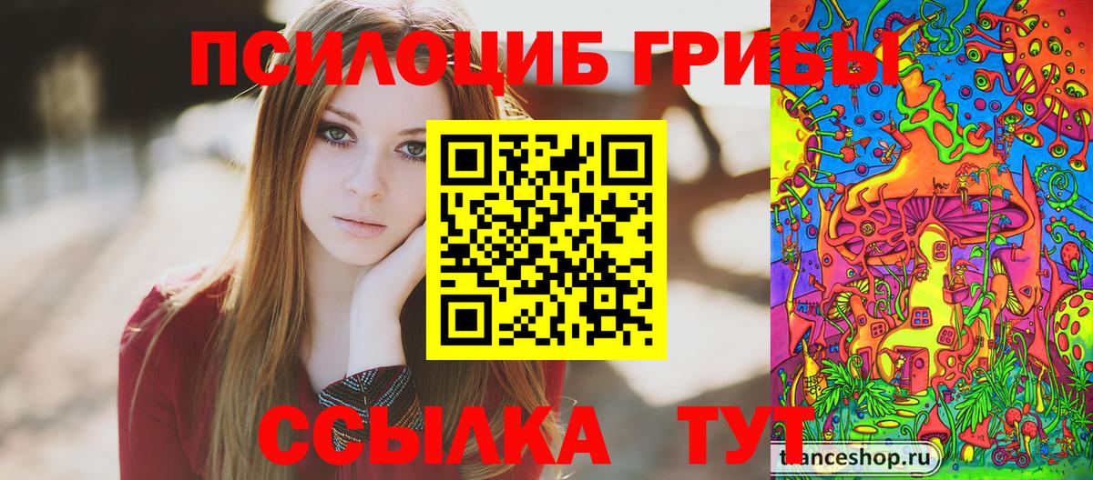 Псилоцибиновые грибы Cubensis Великий Устюг