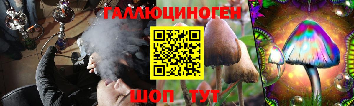 Псилоцибиновые грибы MAGIC MUSHROOMS  Вход с VPN  Галлюциногенные грибы Psilocybe  Великий Устюг 