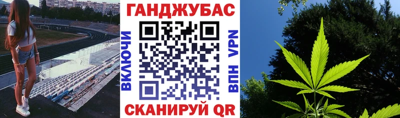 Канабис план  Великий Устюг 